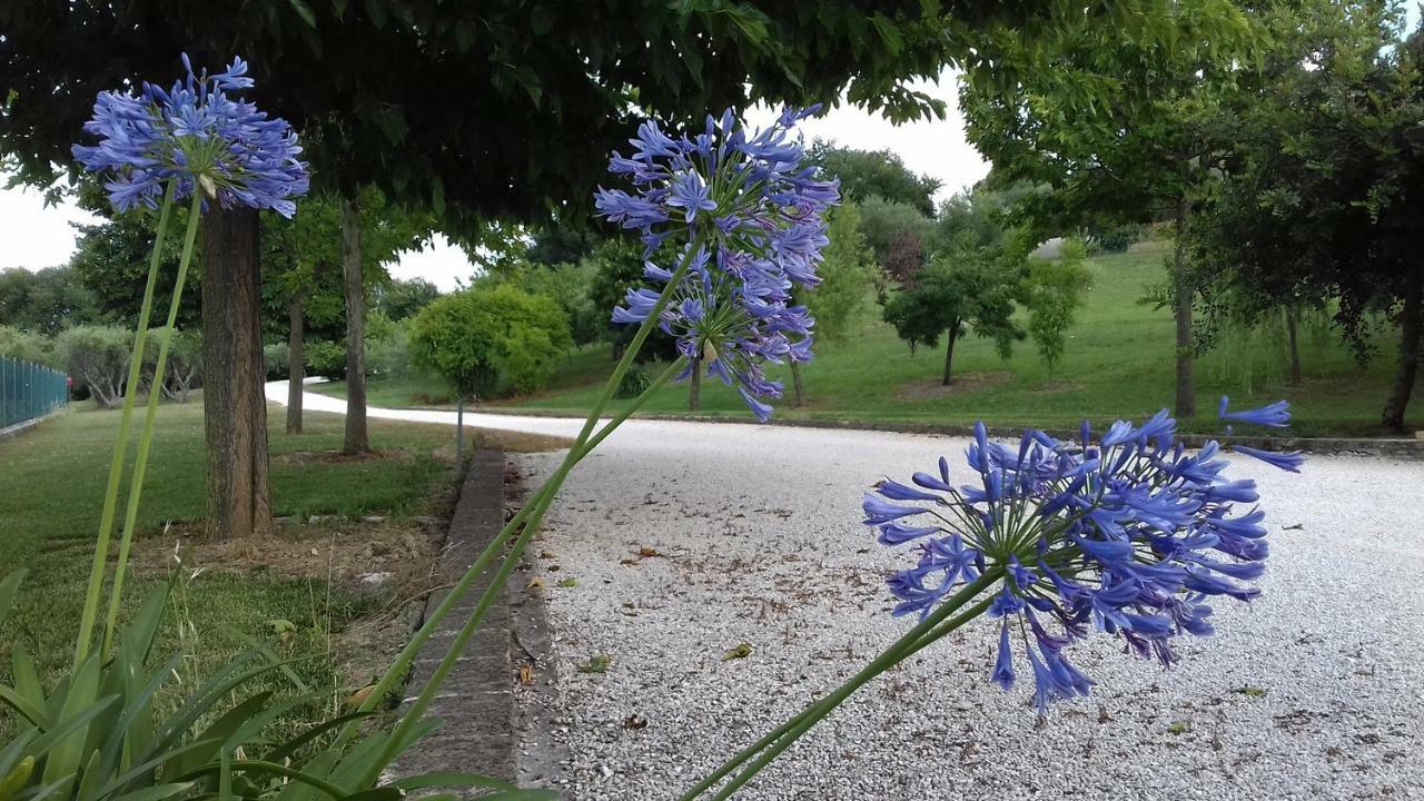 Willa Casa Nenella Corridonia Zewnętrze zdjęcie